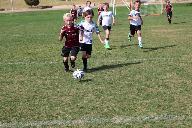 往往会给球 往往会给球