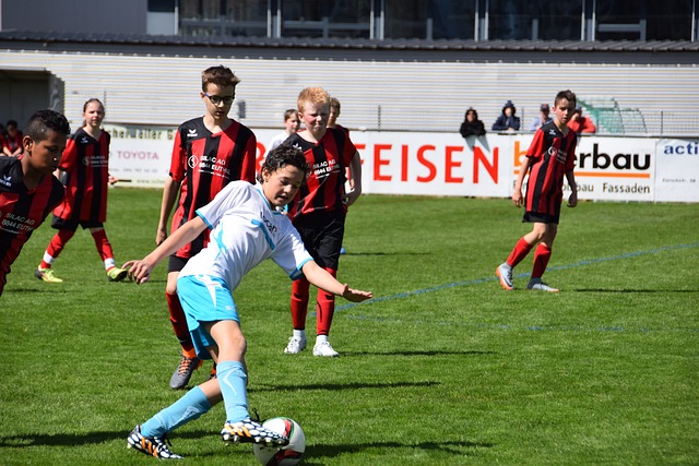 体系作为世 体系作为世