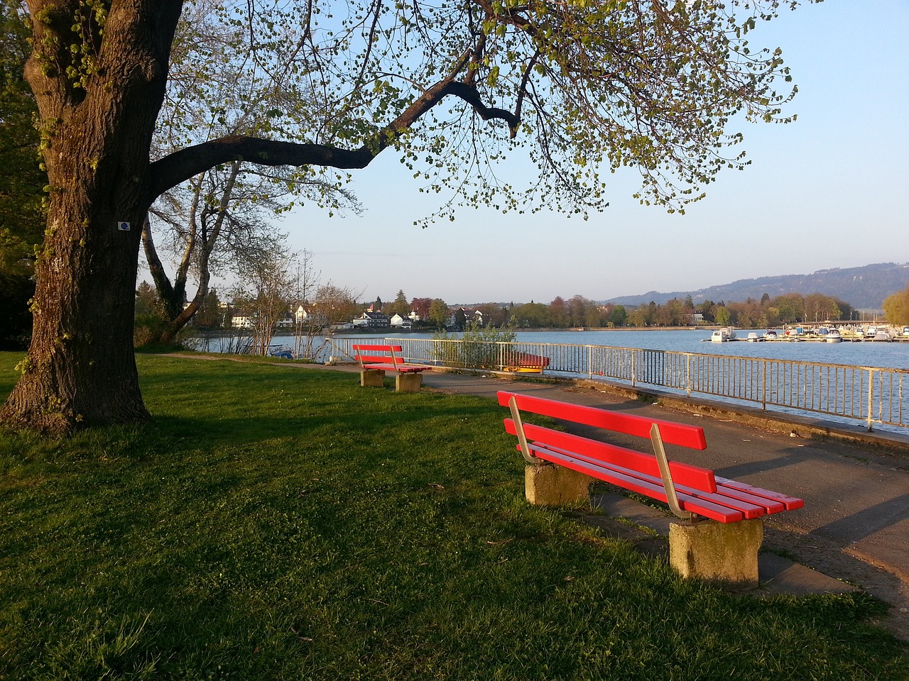 加盟红魔后 加盟红魔后