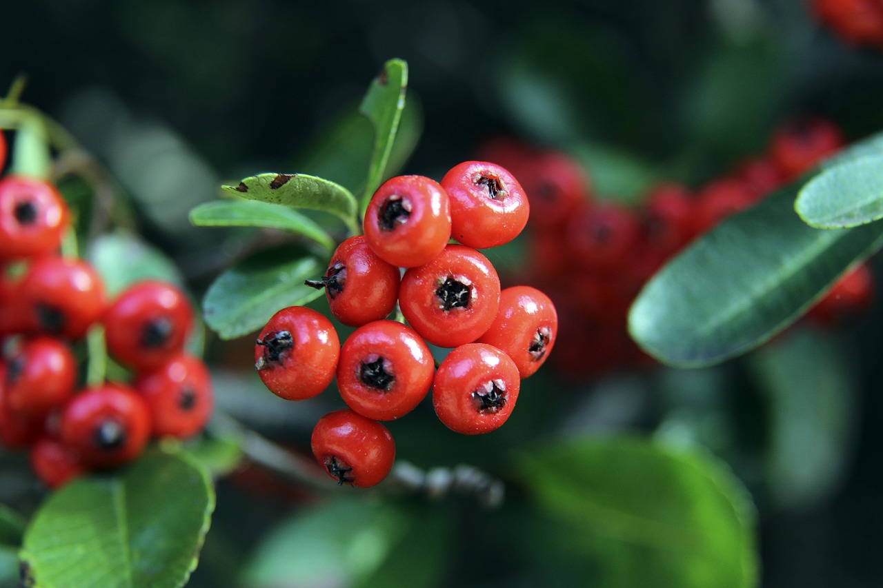 端的方式 端的方式