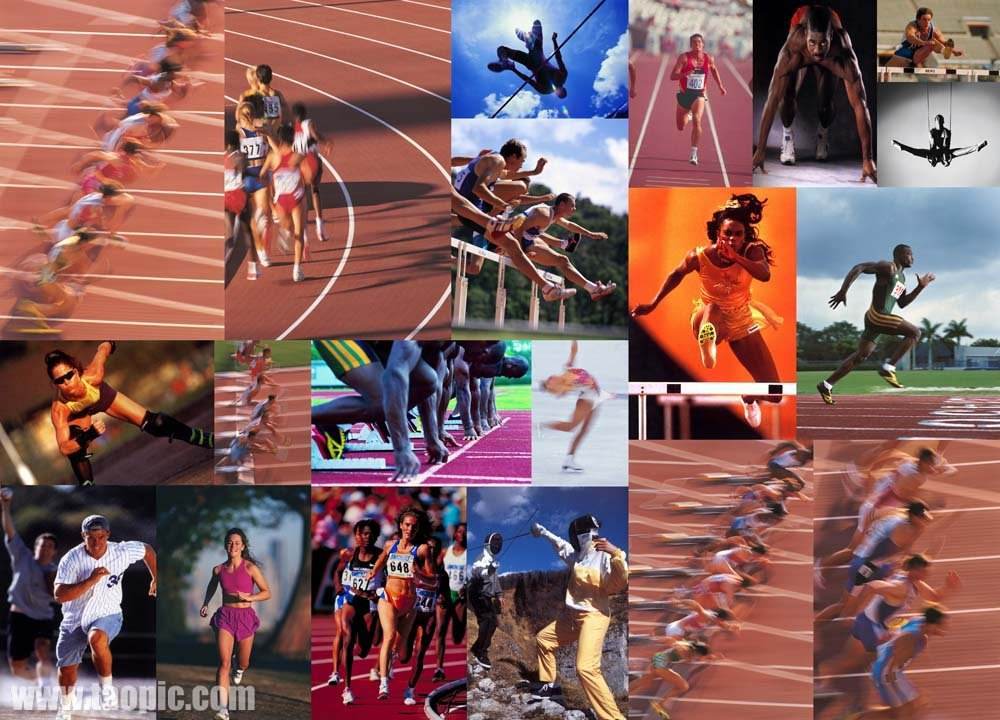 竞技表现上 竞技表现上