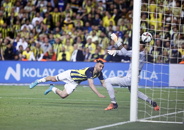 更需要因地 更需要因地