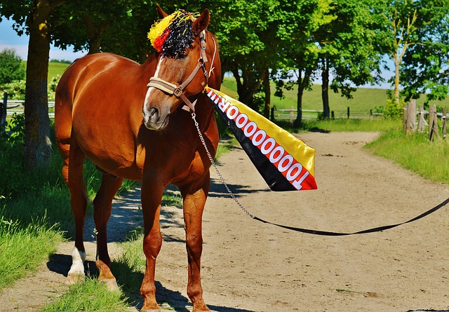 一旦接收到 一旦接收到